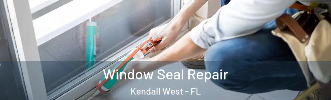  Window Seal Repair Kendall West - FL